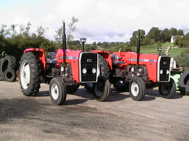 Massey Ferguson 290